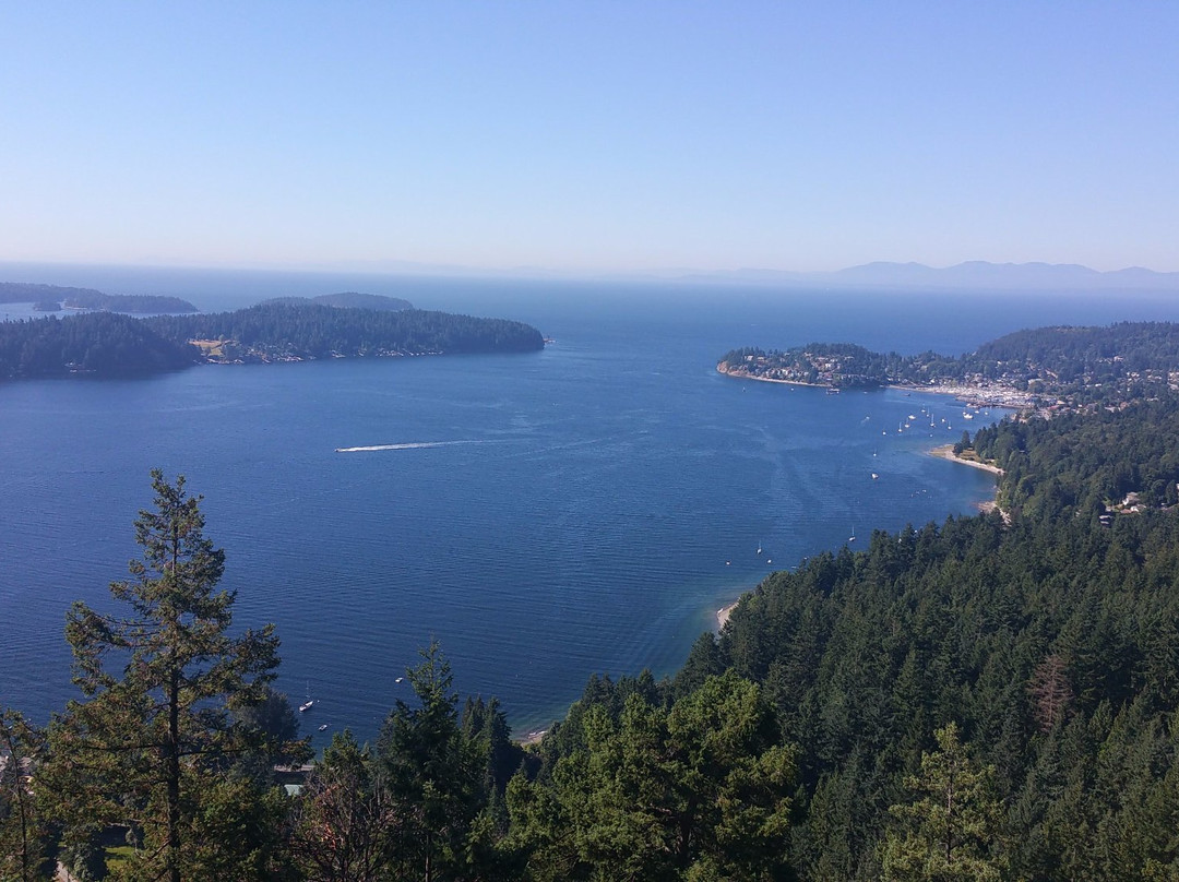 Soames Hill (aka Knob Hill)-吉布森斯必去景点