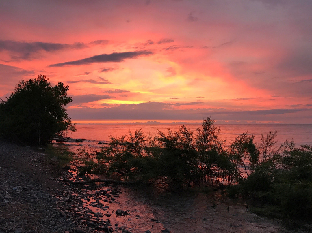 Lakeside Beach State Park-Waterport必去景点