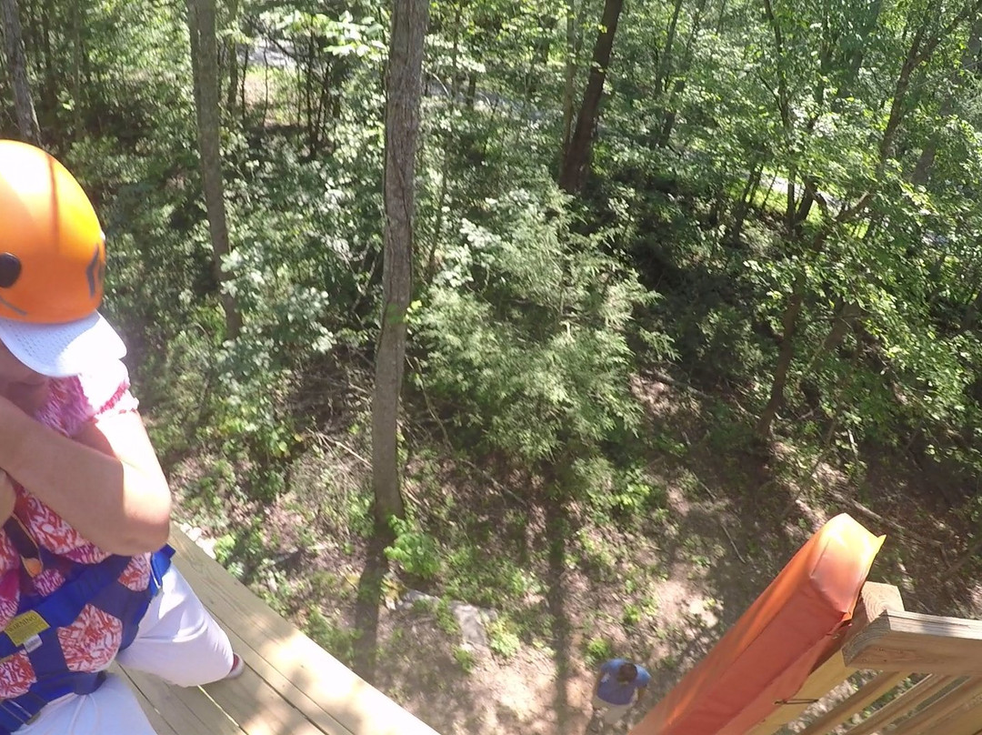 White Oak Ziplines-盖林柏格必去景点