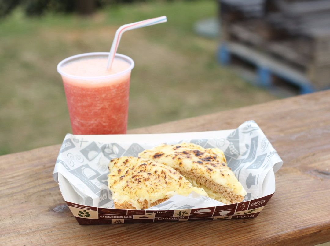 Quintal Skate Park-圣若泽杜斯坎普斯必去景点