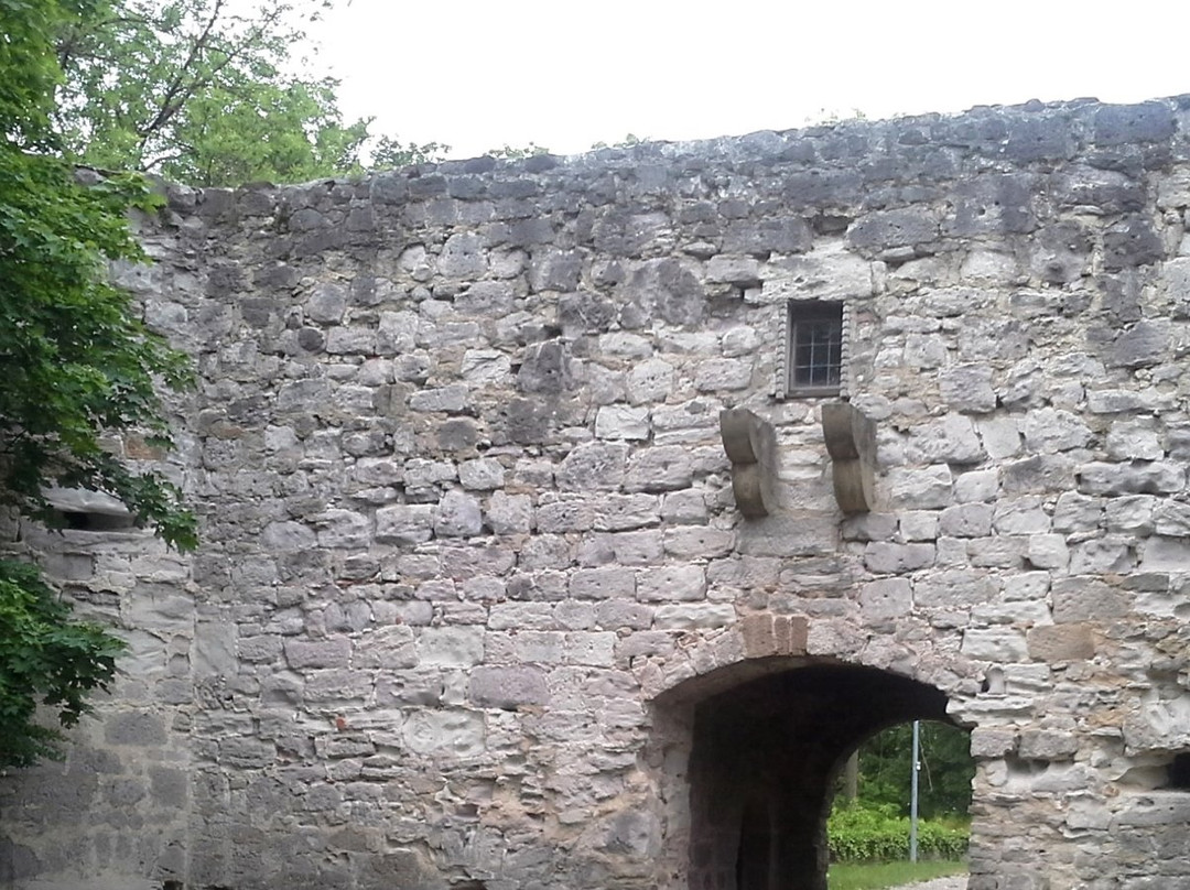 Burg Loewenstein景点图片