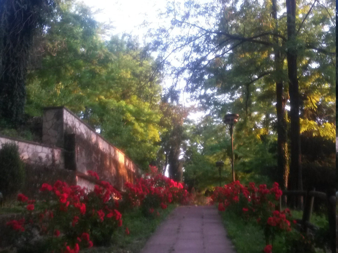 Parco Colline Moreniche di Castiglione景点图片