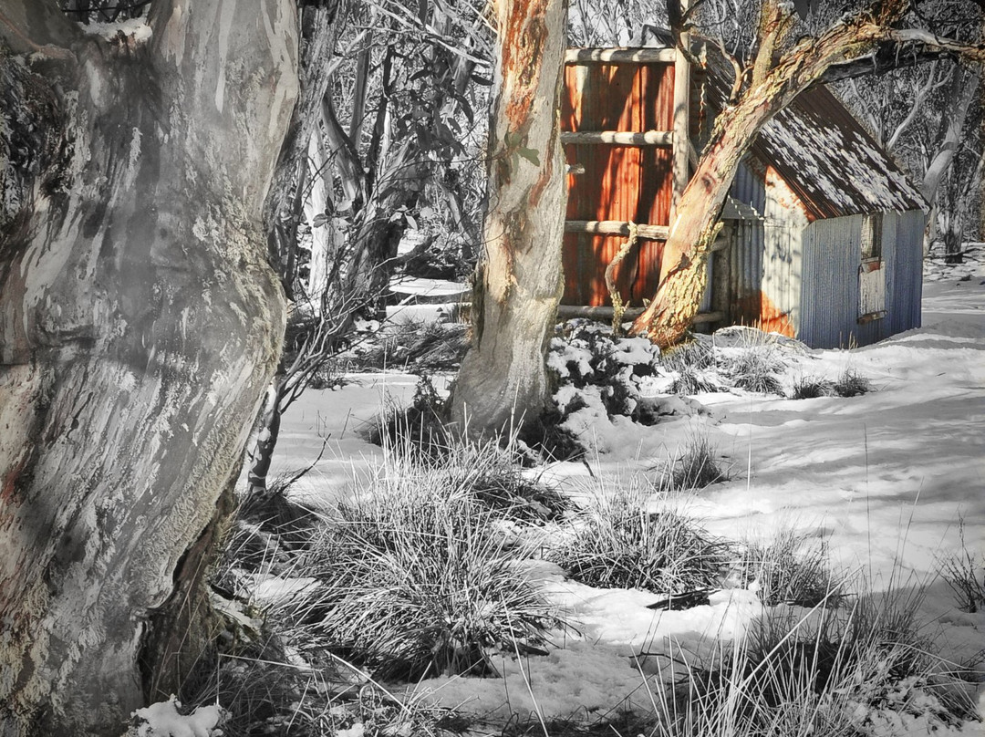 Norm Neilson Fine Art Photography-Metung必去景点