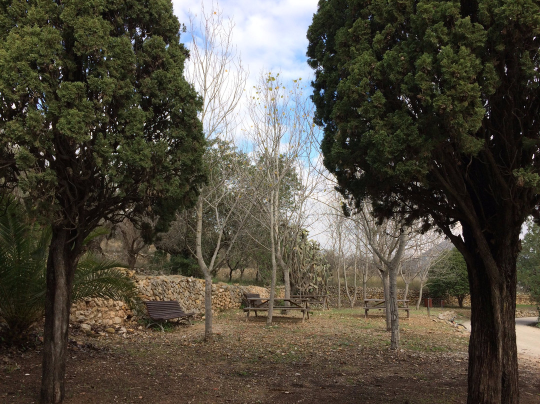 Ermita de Sant Joan de Mosquera景点图片