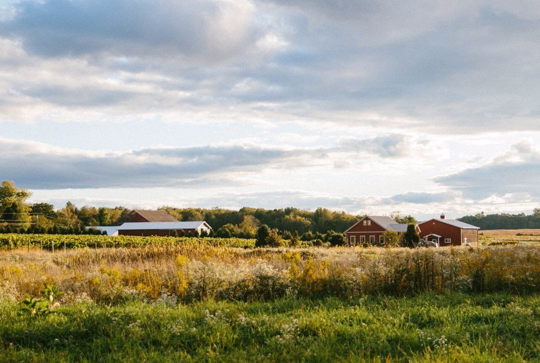 Happy Valley Vineyard & Winery-宾夕法尼亚州学院必去景点