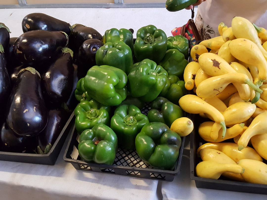 Brevard County Farmer's Market景点图片
