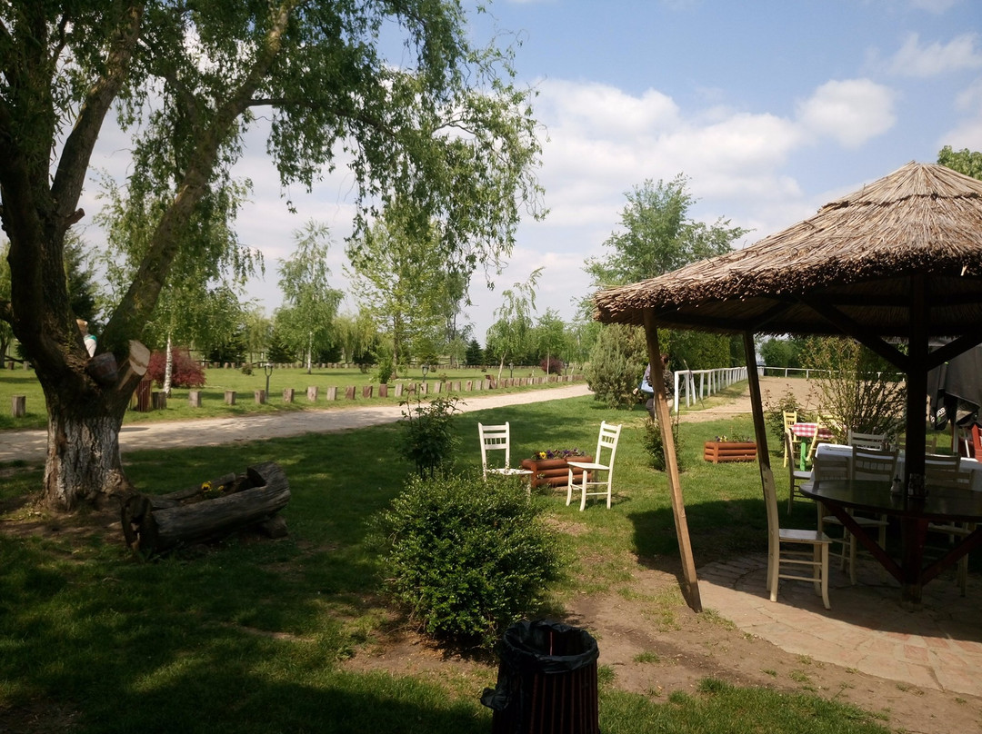 Obrenovac旅游攻略图片