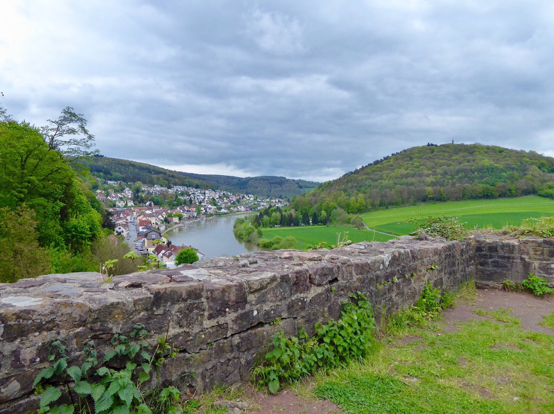 Neckargemund旅游攻略图片