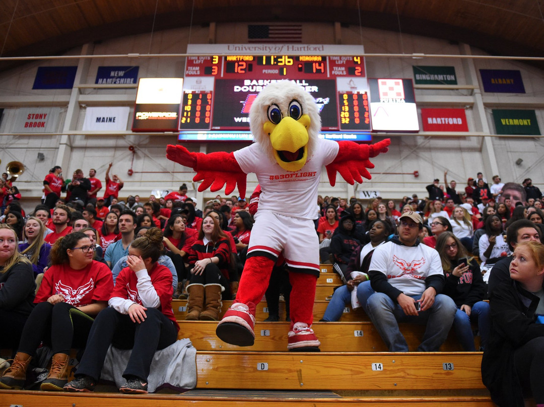 Chase Arena at Reich Family Pavilion-西哈特福德必去景点