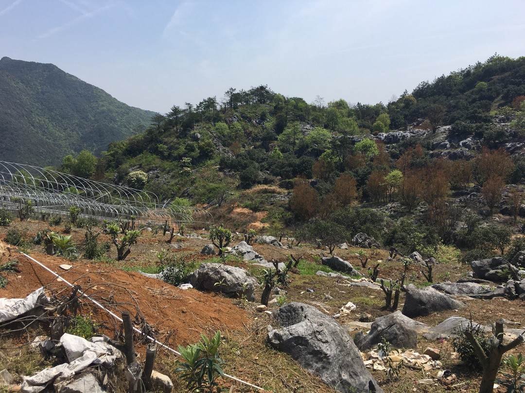 杭州富春桃源-富阳市必去景点