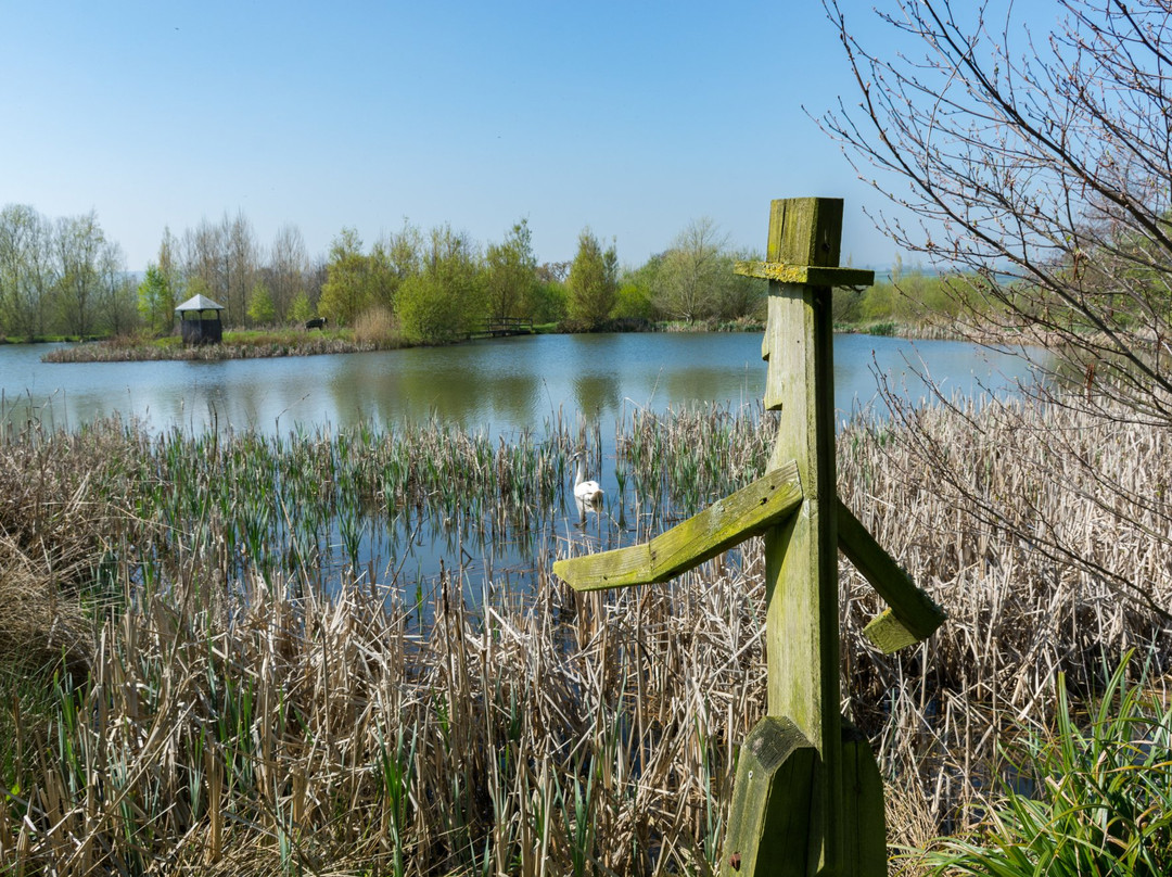 Lower Bruckland Farm Nature Reserve-Musbury必去景点