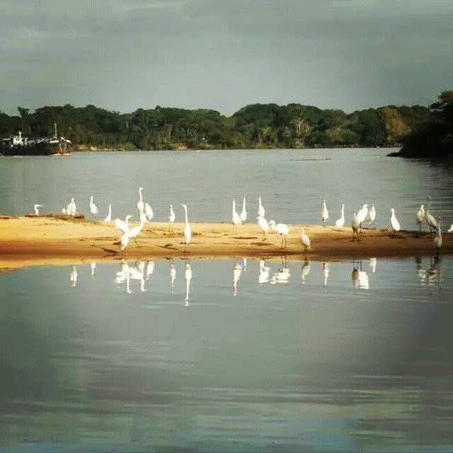 Dam & Floodgate of Amarópolis景点图片