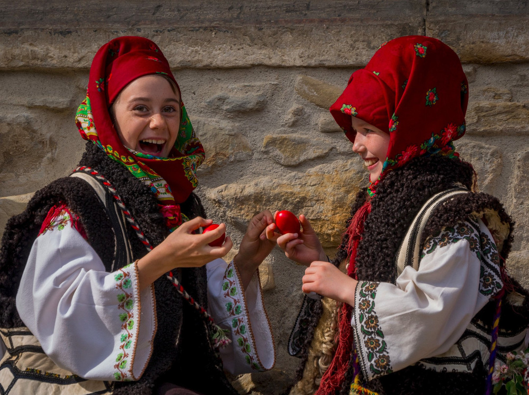 True Romania Tours景点图片