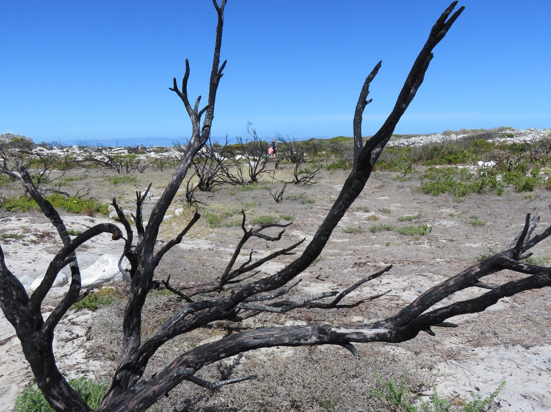 Thomas T Tucker Shipwreck Trail-Cape Peninsula National Park必去景点