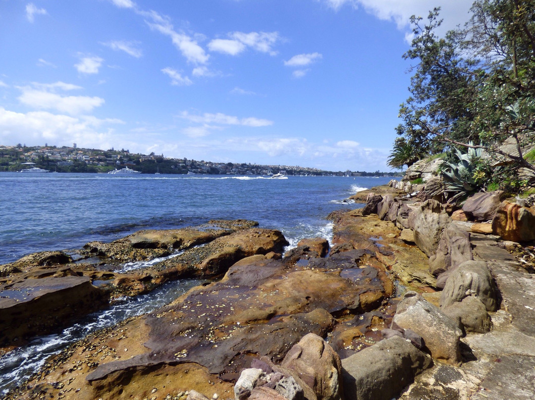鲨鱼岛-悉尼必去景点