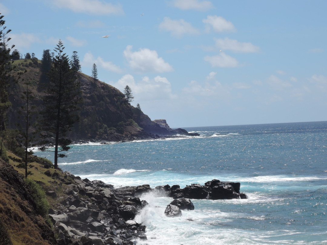 Cascade旅游景点-Reflections of Norfolk Island