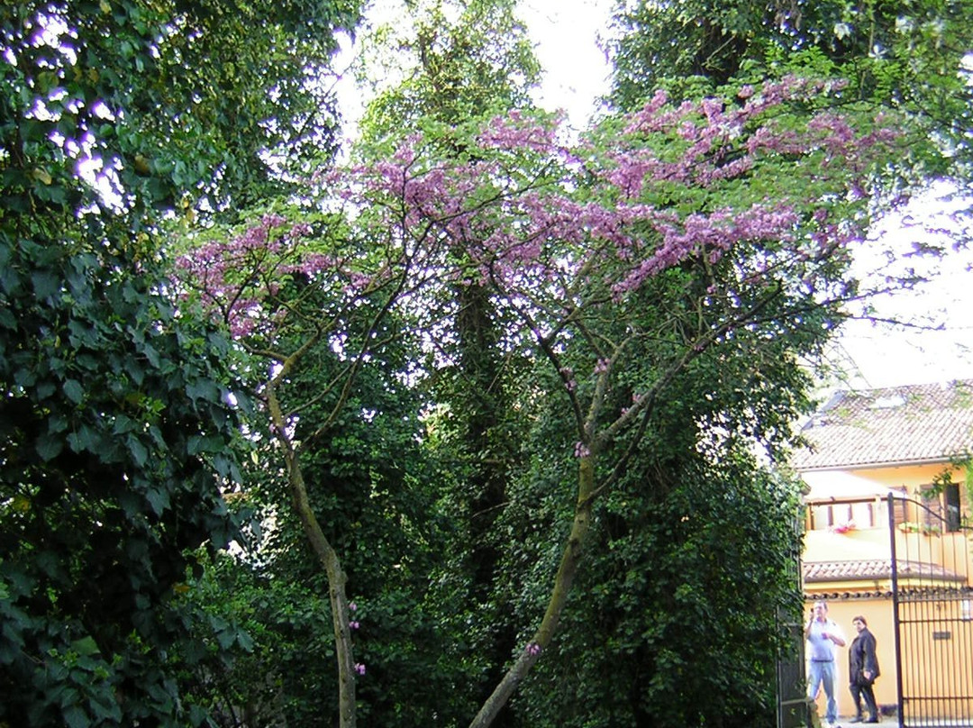 Cimitero Ebraico景点图片