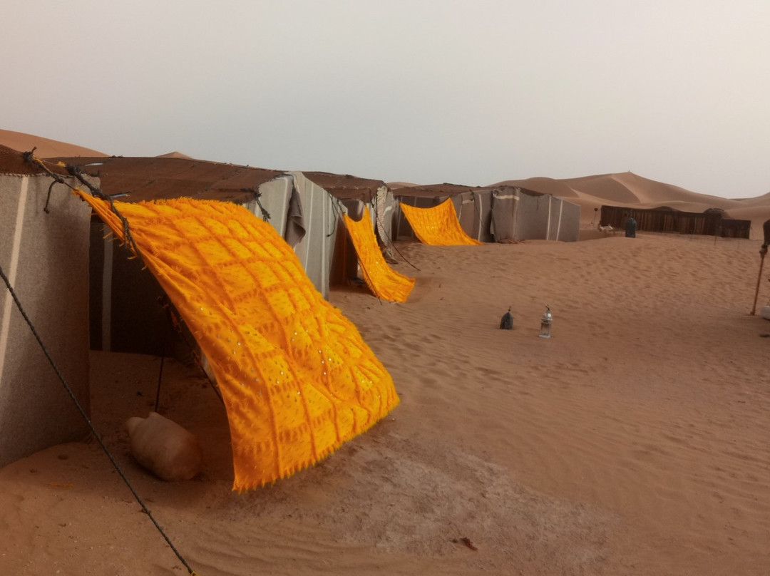 Sahara Spirit Voyage Day Tours-瓦尔扎扎特必去景点