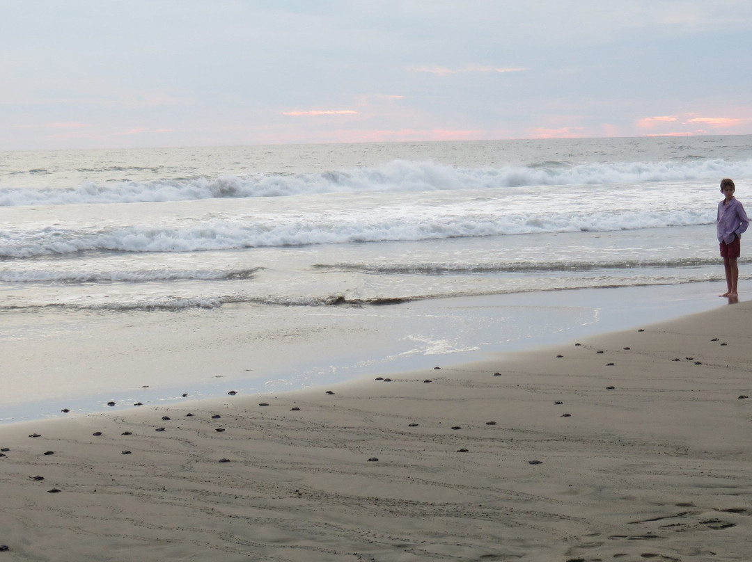 Playa Buenavista-Troncones必去景点