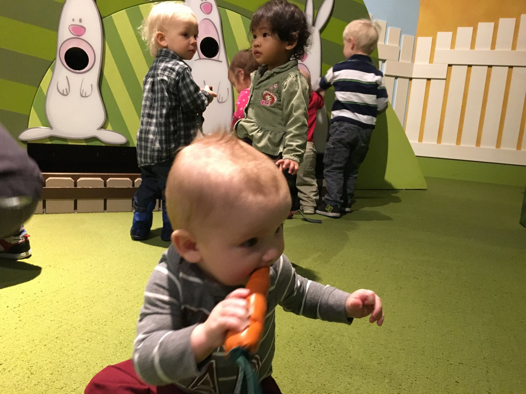 Museum of Natural Curiosity-李海必去景点