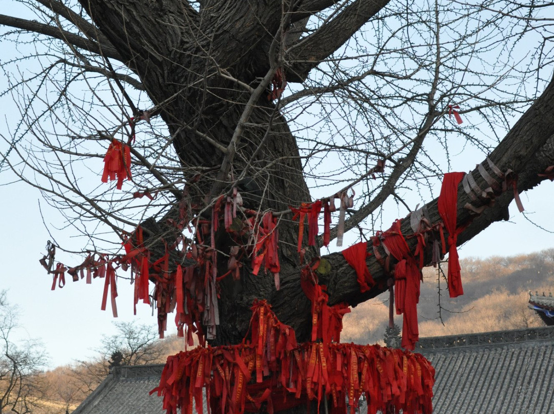 宝光禅寺-丹东市必去景点