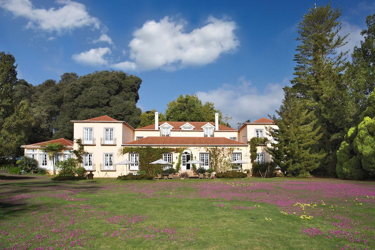 Restaurante Oxalis
