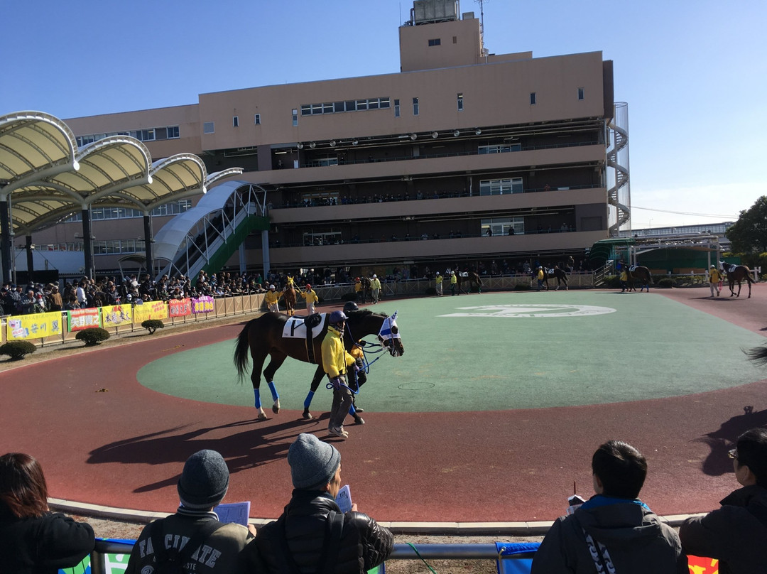 Funabashi Race Track-船桥市必去景点
