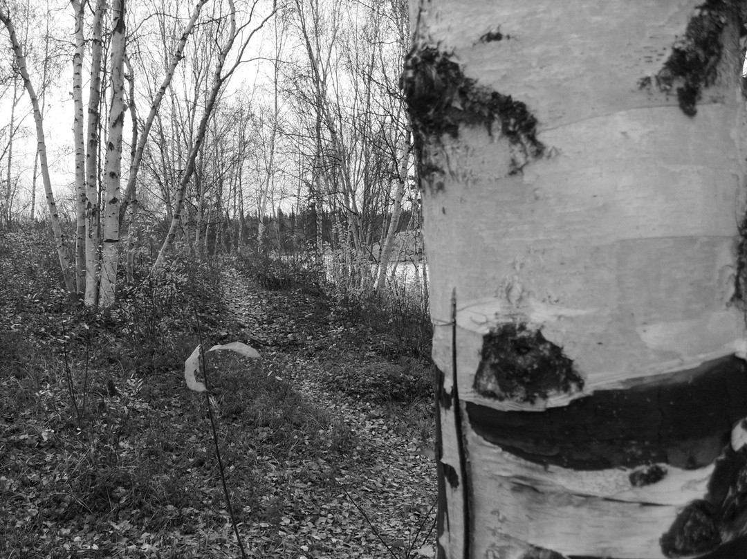 Yellowknife River Territorial Park Day Use Area-黄刀镇必去景点