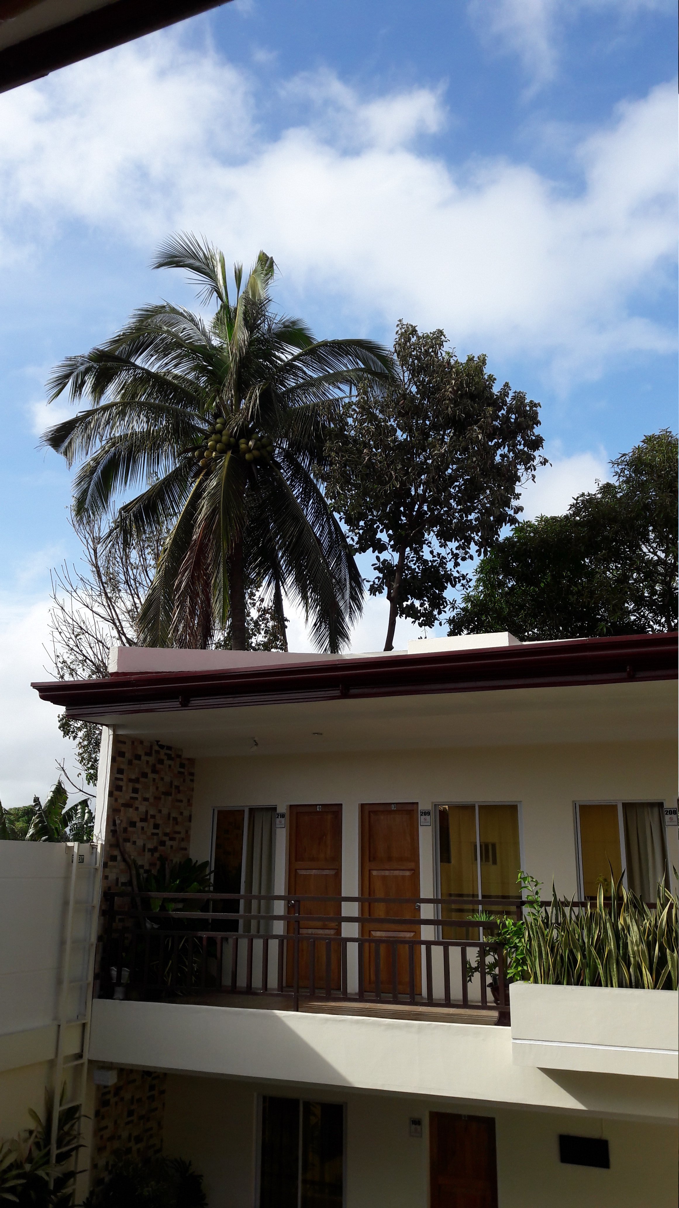St Gerard Lodging House-官方