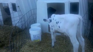 Cook's Farm Dairy-Ortonville必去景点