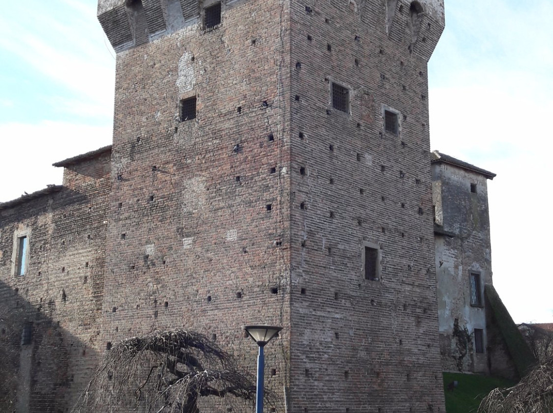 Castello Visconteo景点图片