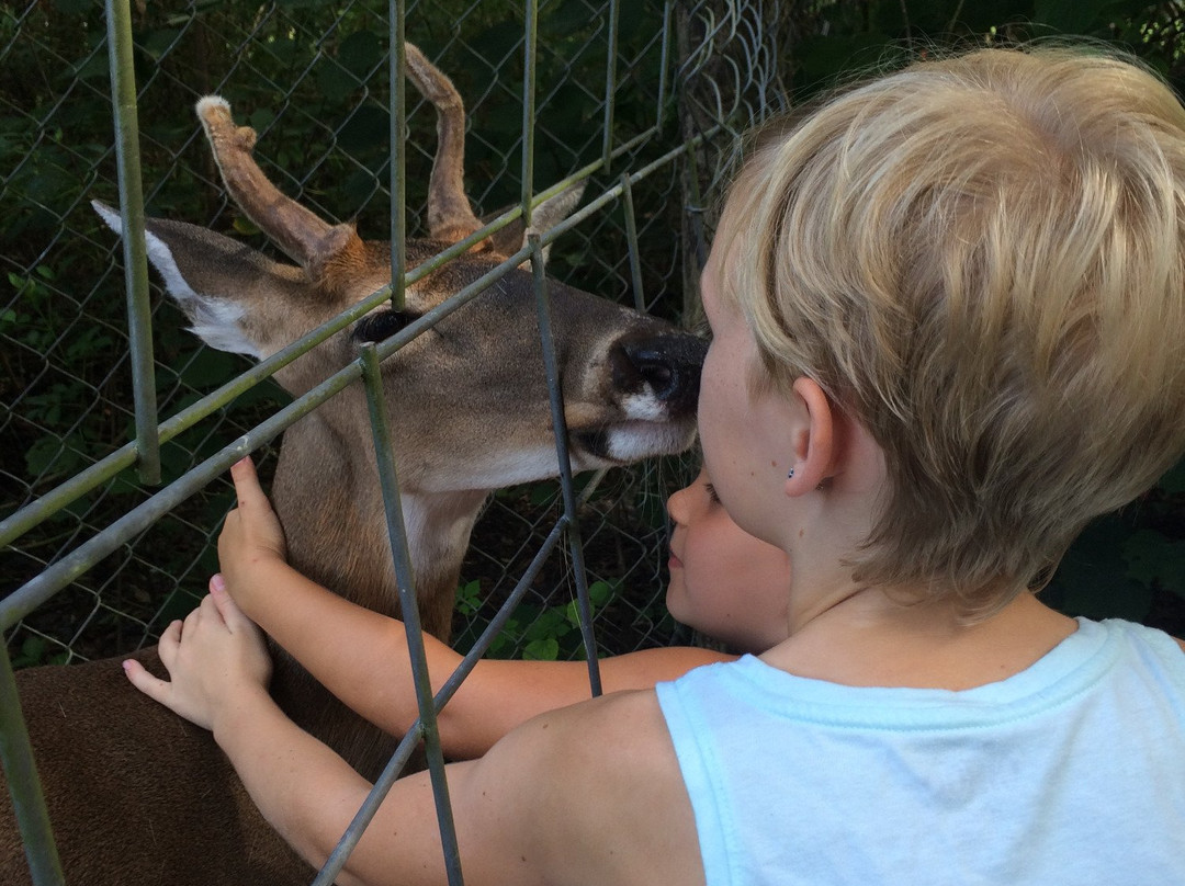 Lions, Tigers & Bears-阿卡迪亚必去景点