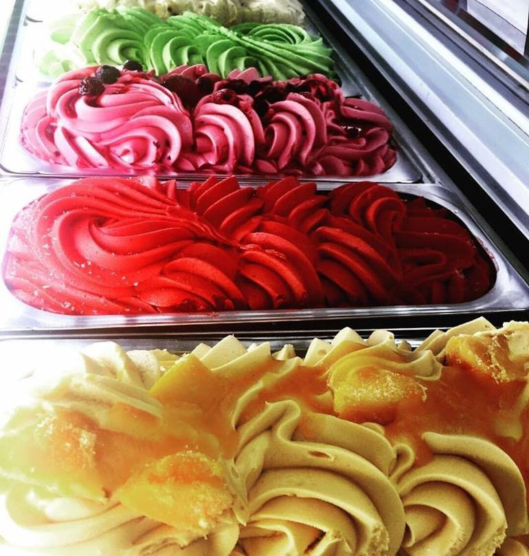 Fruits of the Forest