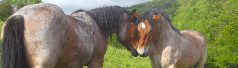 L'Ecrin de Brierat-Saint-Priest-la-Prugne必去景点