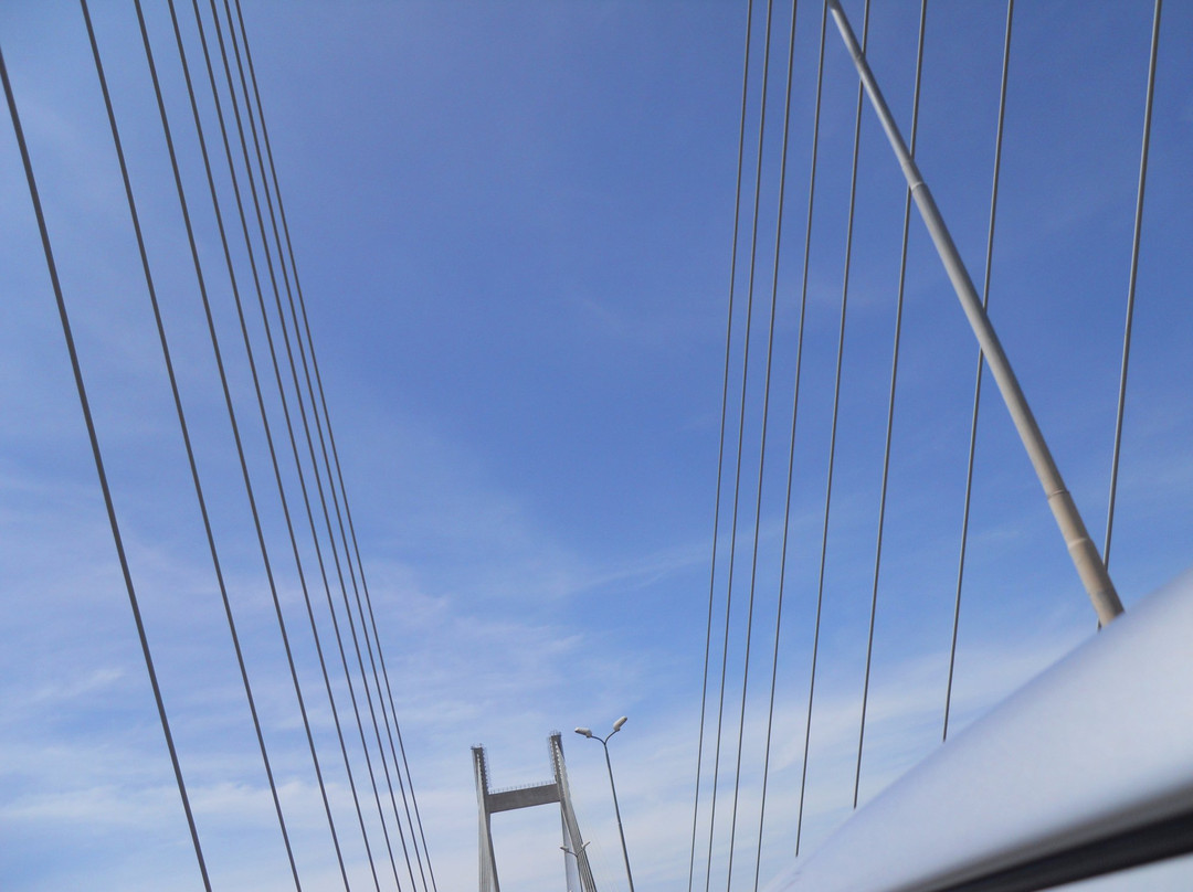 New Yamuna Bridge景点图片