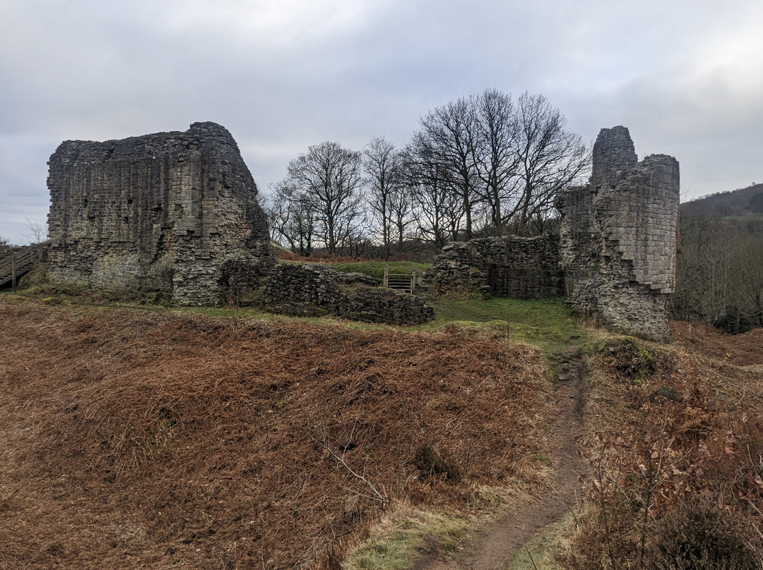 Caergwrle Castle景点图片