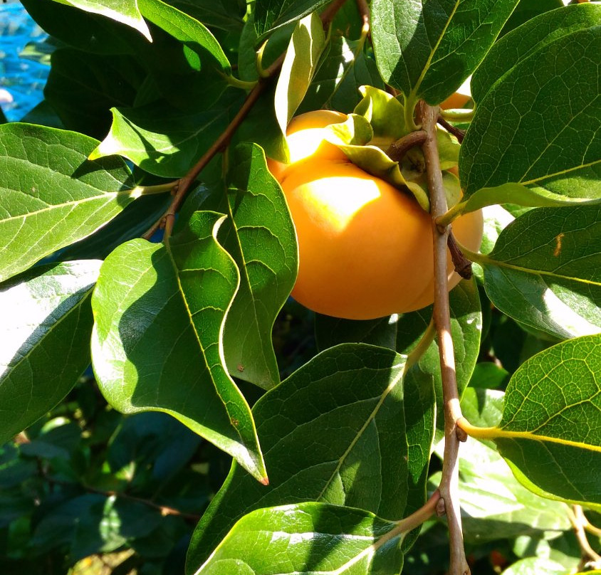 Hotel Trout Valley主图