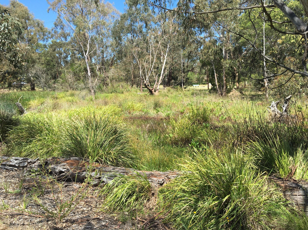 Yarrabing Wetlands Reserve景点图片