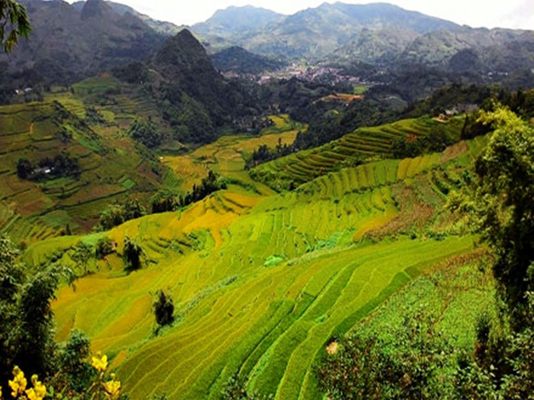 Bac Ha Tourist景点图片