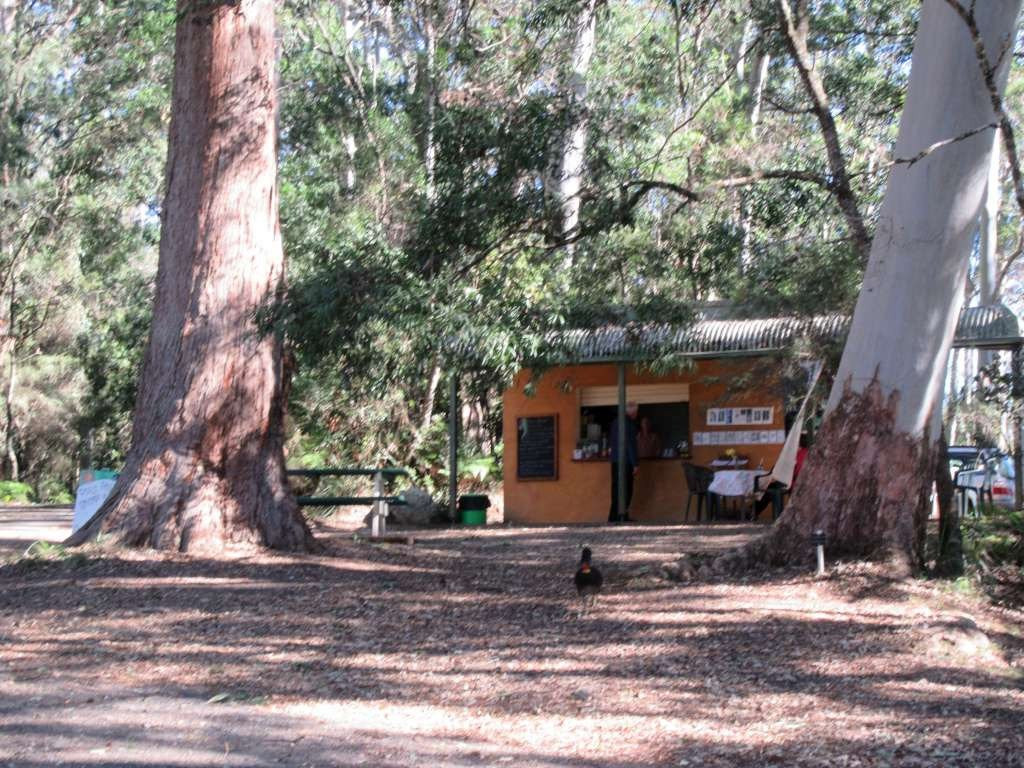 Ellenborough Falls-Elands必去景点