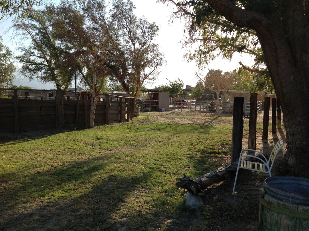 Ivey Ranch Equestrian Center-Thousand Palms必去景点