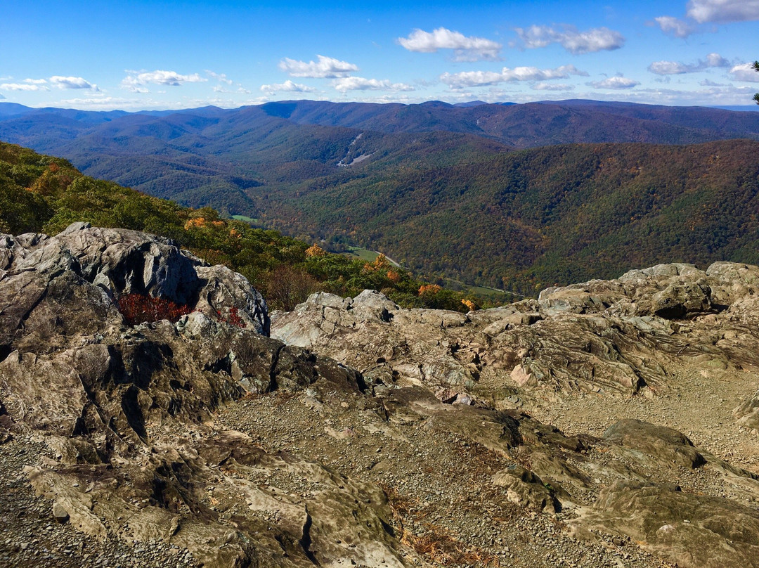 Raven's Roost Overlook-Lyndhurst必去景点