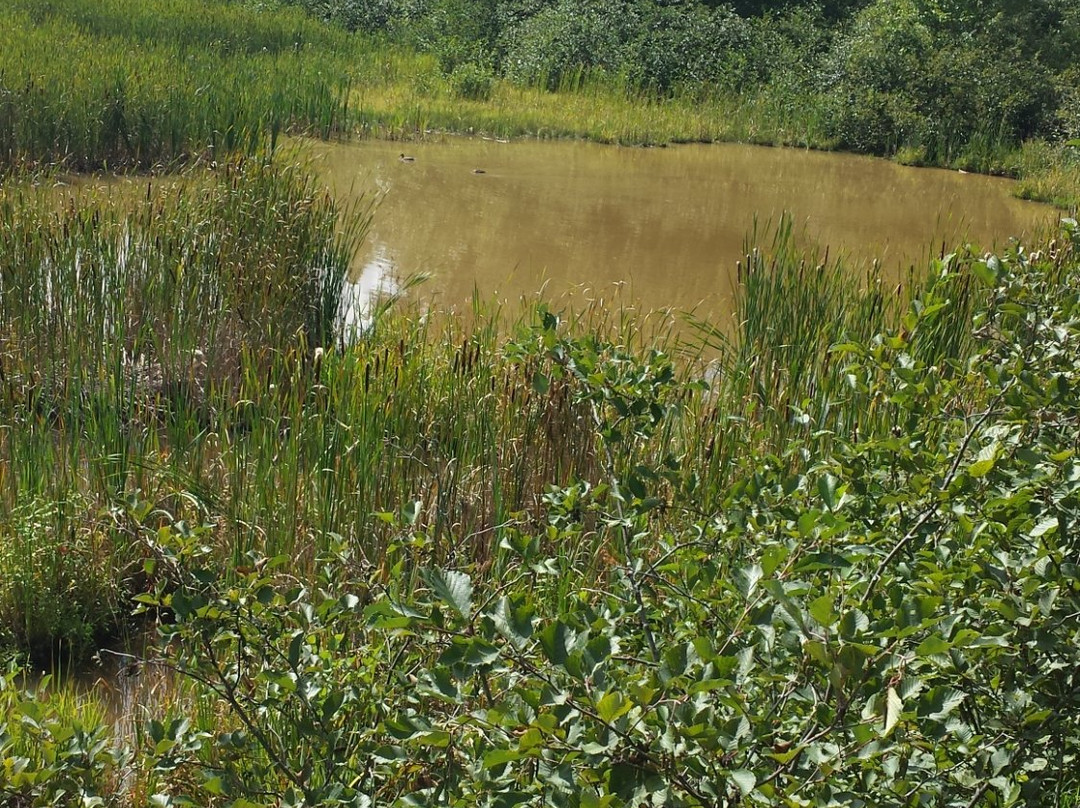 Mapleton Park-蒙古顿必去景点