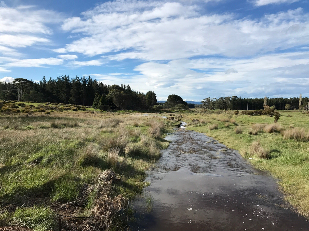 Wind Song Bed & Breakfast主图