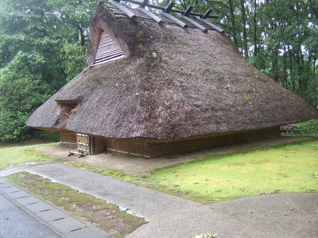 Iichiko Hita Distillery景点图片