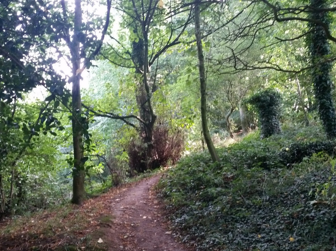 The Hermitage-Dale Abbey必去景点