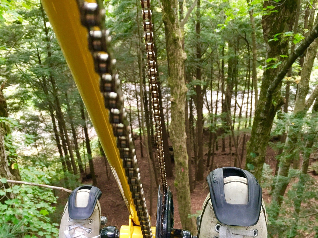 VeloVolant-Sutton必去景点