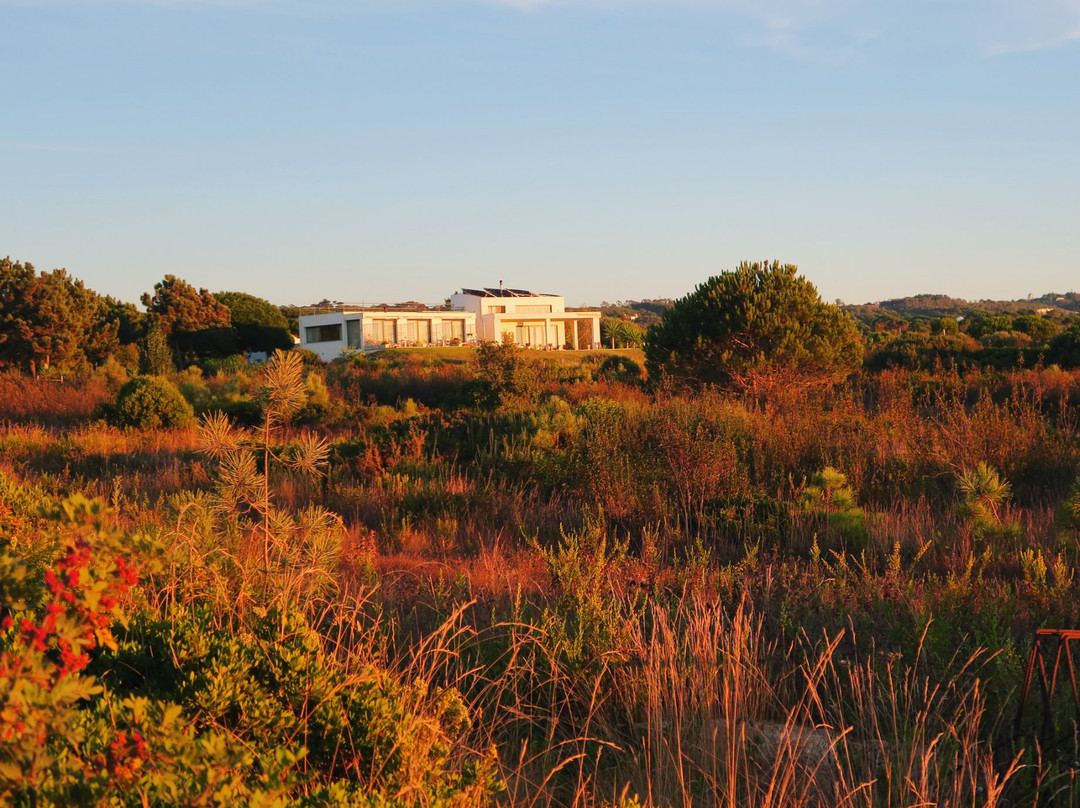 Entre Mar e Mar主图