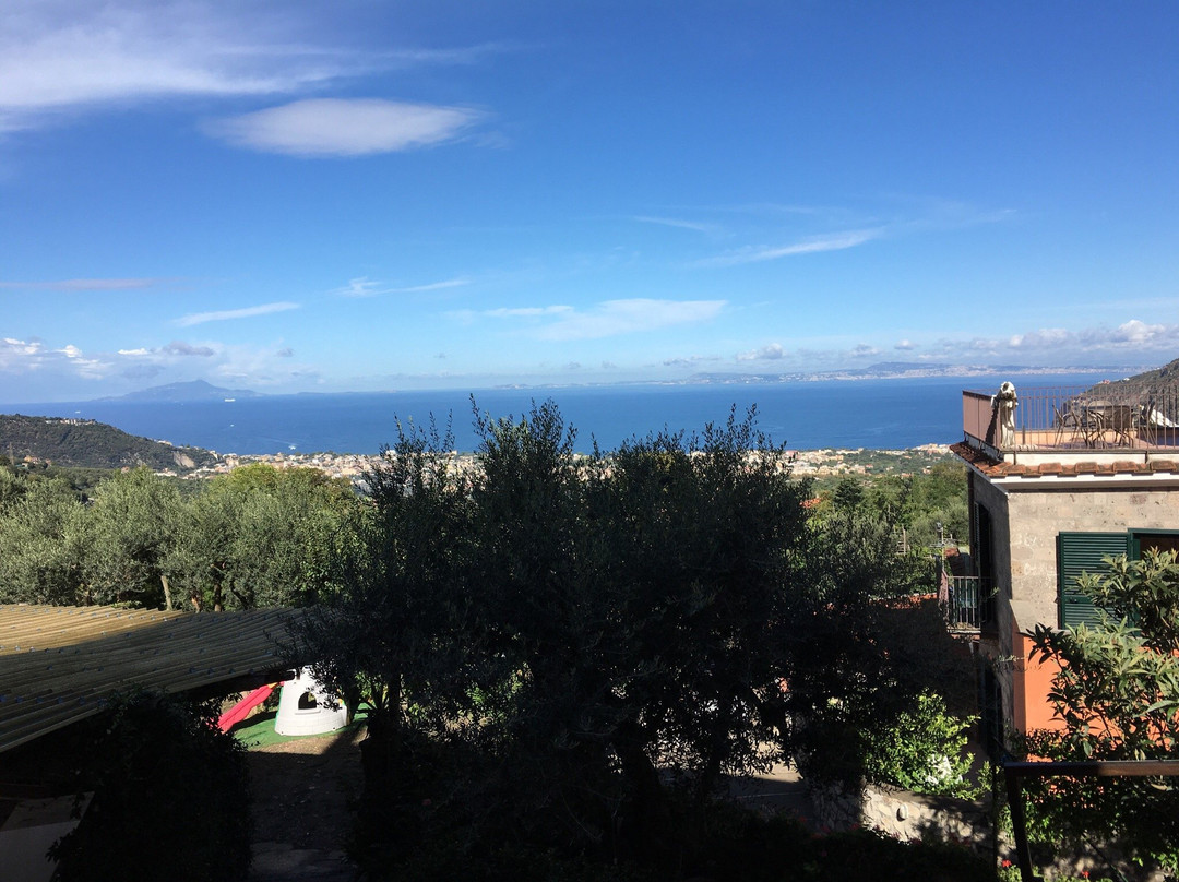 Farm Experience- Agriturismo Antico Casale - Colli di San Pietro-Piano di Sorrento必去景点