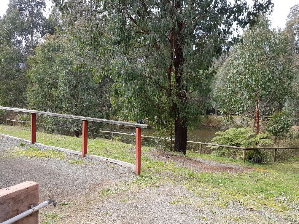 Marysville Trout and Salmon Ponds景点图片